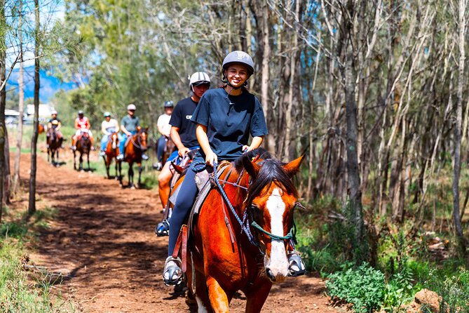 Hunter Valley Horse Ride - 90 Minutes -Vineyard & Mountain Views - Is $98.43 Good Value?