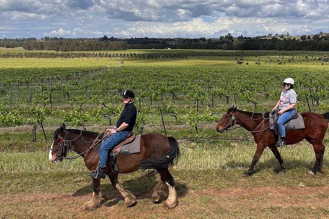Hunter Valley Horse Ride - 90 Minutes -Vineyard & Mountain Views - Riding Through Bushland and Farmland