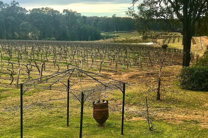 Hunter Valley Wine Tour from Sydney: 3 Wineries & Vineyard Picnic - Chocolate and local products in 15 minutes