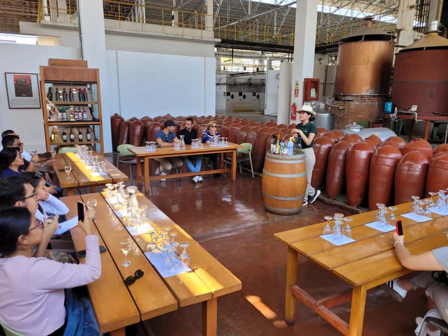 ICA: Pisco and Wine Route with tasting in 03 Wineries - Key points to know before you go
