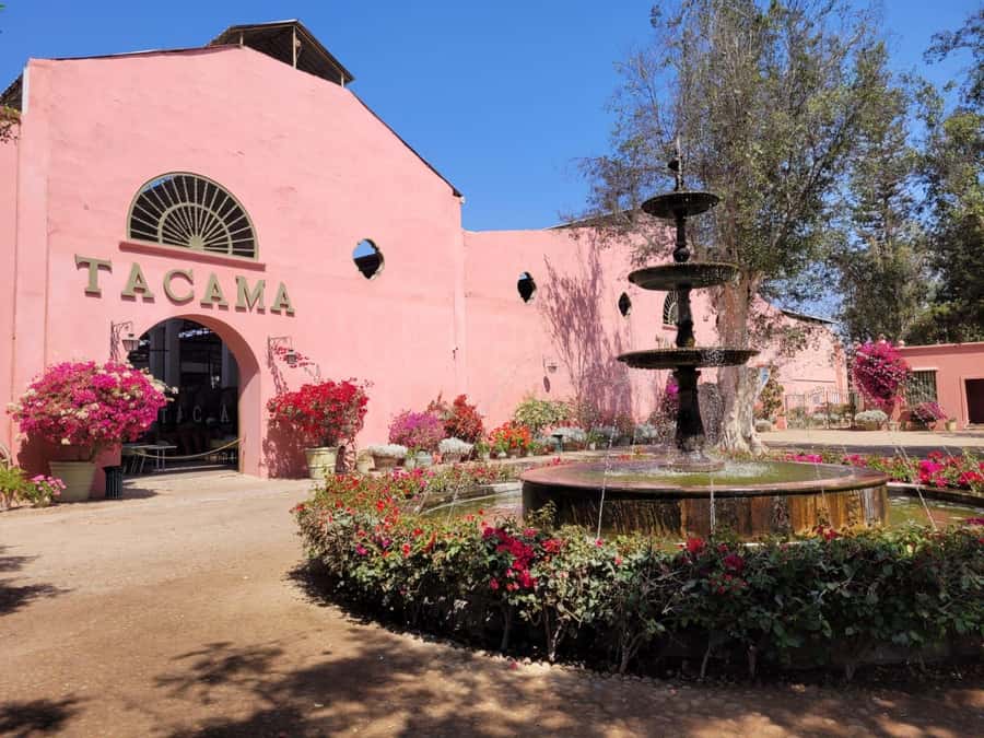 ICA: Pisco and Wine Route with tasting in 03 Wineries - Why this Ica wine tour is worth your time