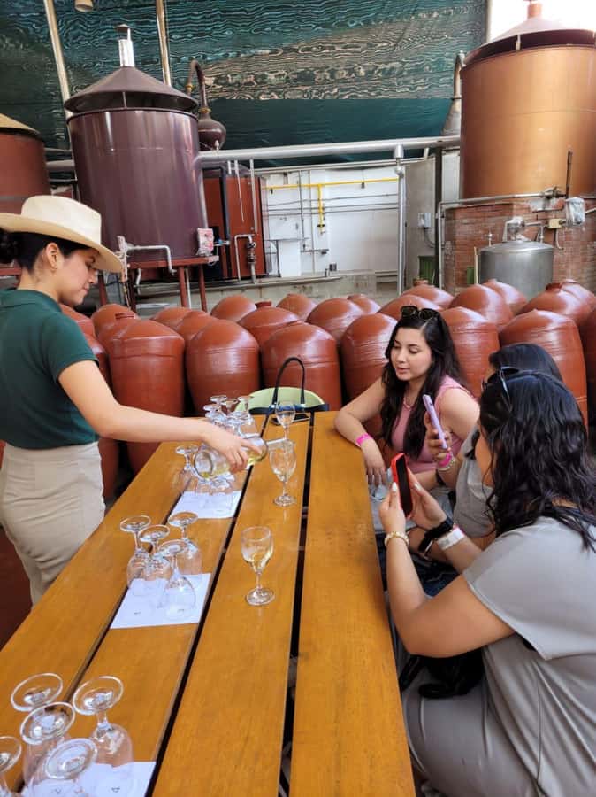 ICA: Pisco and Wine Route with tasting in 03 Wineries - Understanding how pisco is made