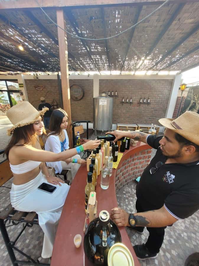 ICA: Pisco and Wine Route with tasting in 03 Wineries - Tasting pisco and local wine with guidance