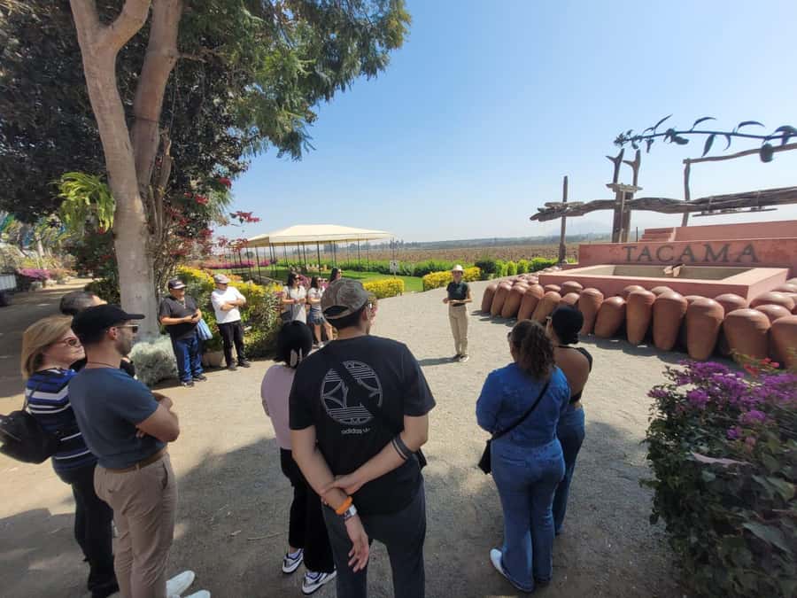 ICA: Pisco and Wine Route with tasting in 03 Wineries - Vineyard views and working countryside