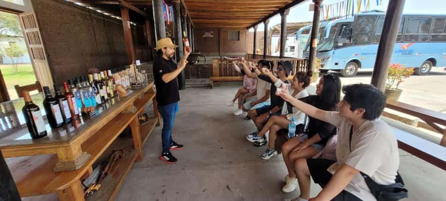 ICA: Pisco and Wine Route with tasting in 03 Wineries - Lunch and the real cost of the afternoon