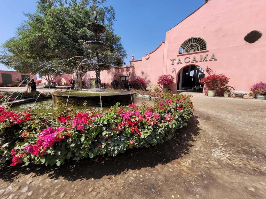 ICA: Pisco and Wine Route with tasting in 03 Wineries - The guide can shape the whole experience