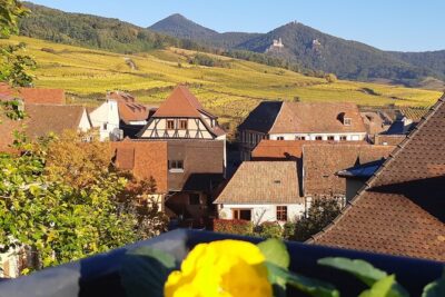 ICONICS Tour: 1/2 day on the Wine Route, visit of 2 Villages + Tasting.