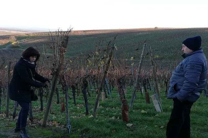 ICONICS Tour: 1/2 day on the Wine Route, visit of 2 Villages + Tasting. - Small-group transport keeps the day easy