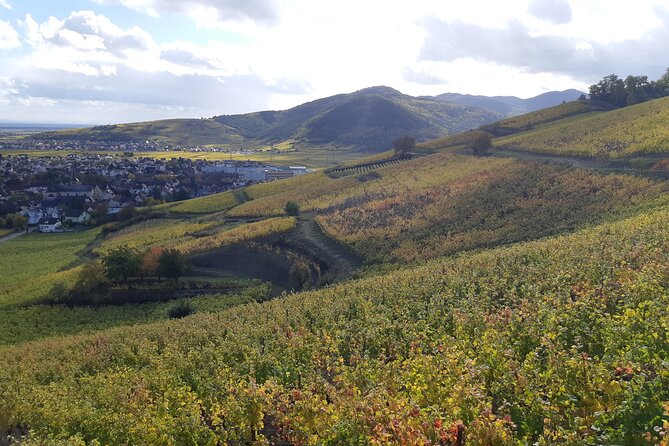 ICONICS Tour: 1/2 day on the Wine Route, visit of 2 Villages + Tasting. - Is the schedule too short?