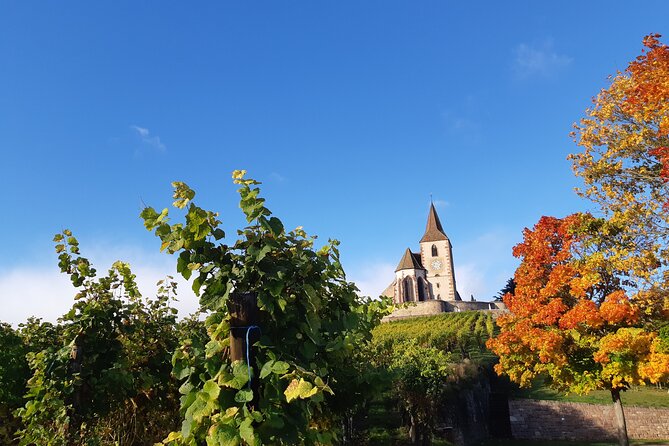 ICONICS Tour: 1/2 day on the Wine Route, visit of 2 Villages + Tasting. - What kind of visitor will enjoy it most?