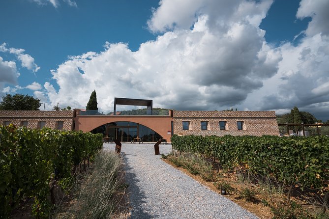 In a carriage among the vineyards, visit of the cellar, tasting of organic wines. - What makes this Suvereto wine visit special