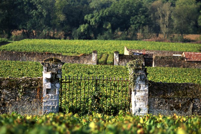 Incredible Loire castles tour with lunch and a vineyard visit - What to wear and what to expect
