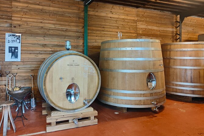Independent wine tour, cellar and tasting in the vineyards - Key points to know before you book