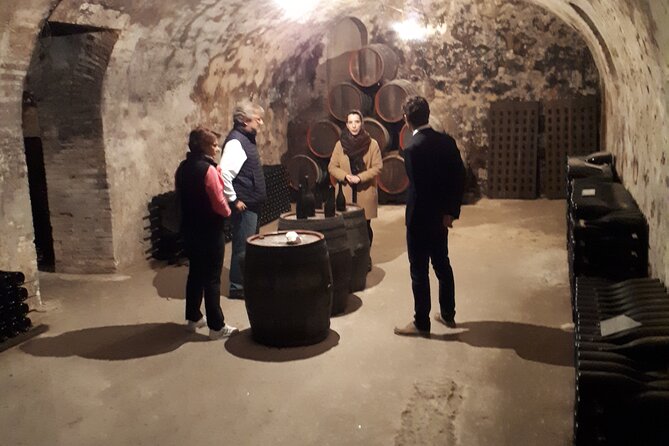 Independent wine tour, cellar and tasting in the vineyards - Tasting Champagne among the vines