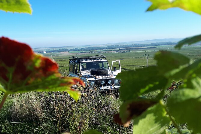 Independent wine tour, cellar and tasting in the vineyards - Pickup, starting point, and the cost question