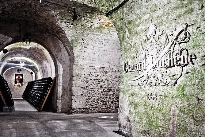 Independent wine tour, cellar and tasting in the vineyards - Accessibility, children, and practical limits