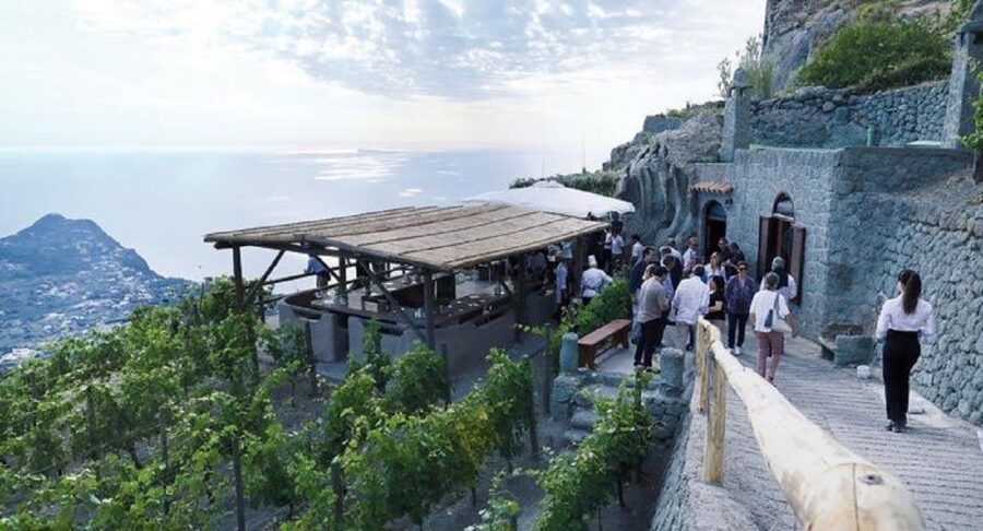 Ischia: Vineyard Tour & Wine Tasting Experience w/ Transfers - Key points to know before booking