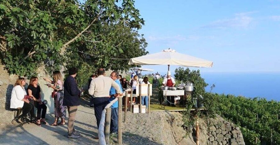 Ischia: Vineyard Tour & Wine Tasting Experience w/ Transfers - Why an Ischia wine tour is worth your time