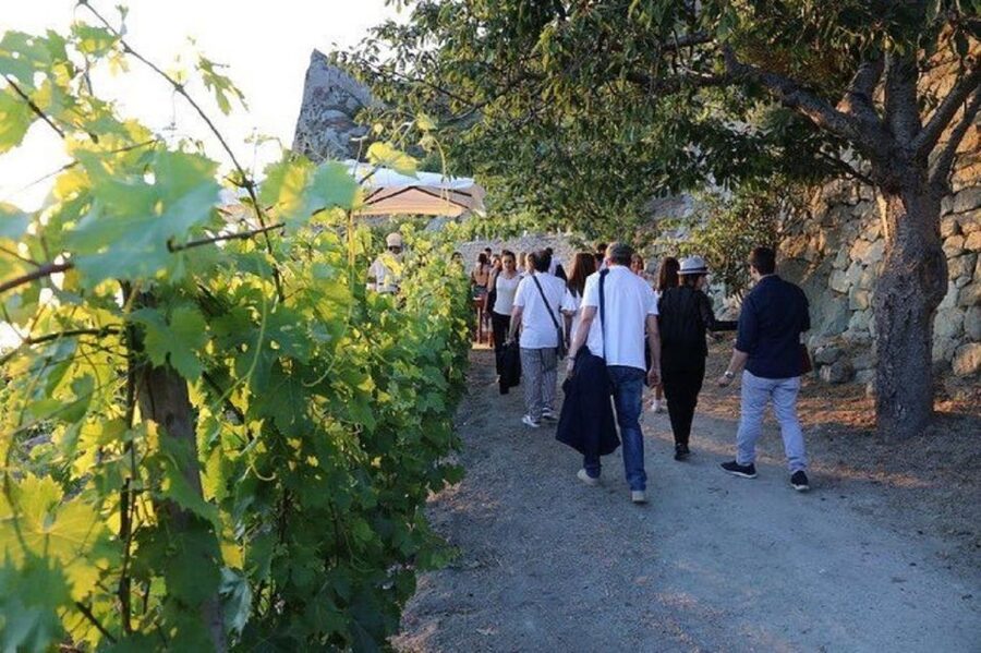 Ischia: Vineyard Tour & Wine Tasting Experience w/ Transfers - Tasting four Ischia wines, from white to red