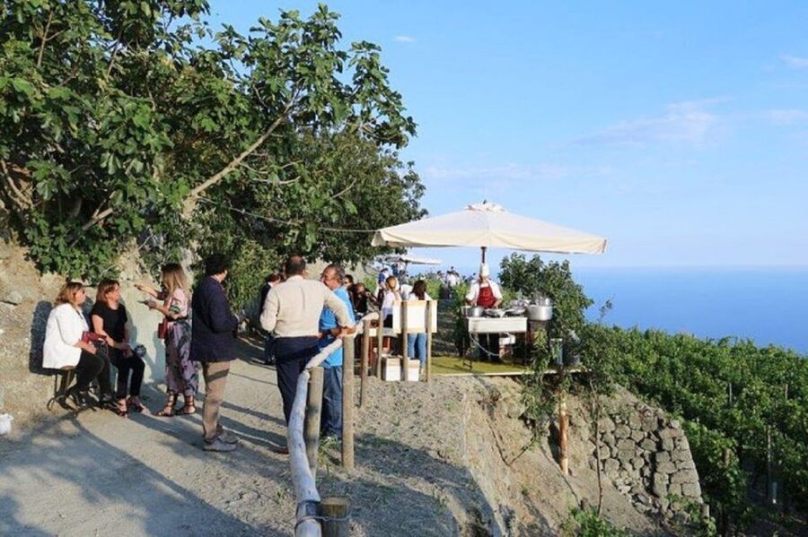 Ischia: Vineyard Tour & Wine Tasting Experience w/ Transfers - Who should book this Ischia experience?