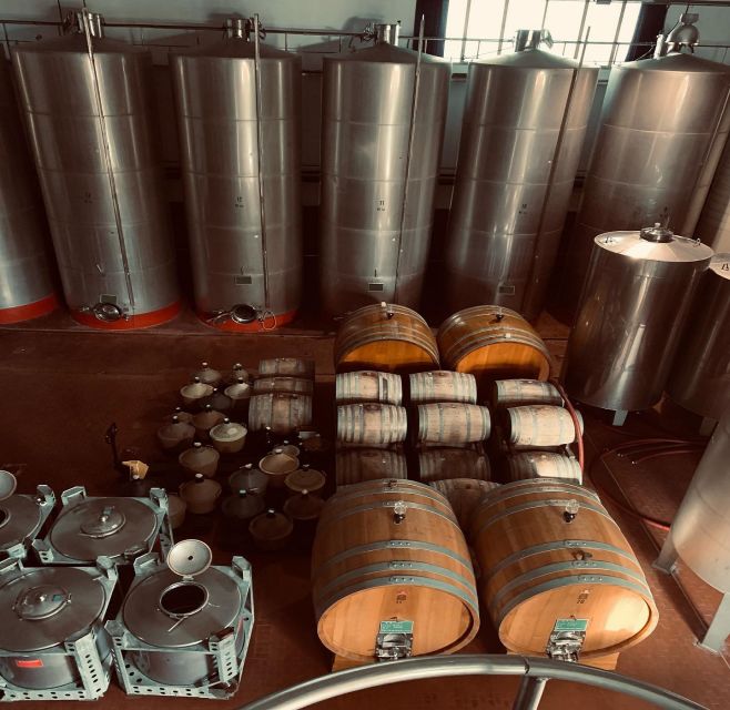Ischia: Vineyard Tour & Wine Tasting Experience w/ Transfers - Pickup and the 30-minute ride across Ischia