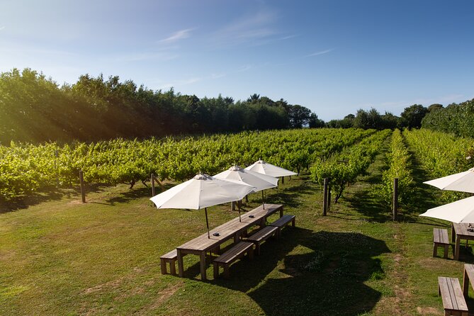 Jersey Premium Vineyard and Distillery Wine Tour and Tasting - Chocolate, fudge, biscuits, and Jersey Black Butter