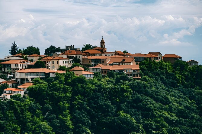 Kakheti Wine Tour and Discover Monasteries Vineyards Telavi - The Sighnaghi walls add a strong view and a bit of history
