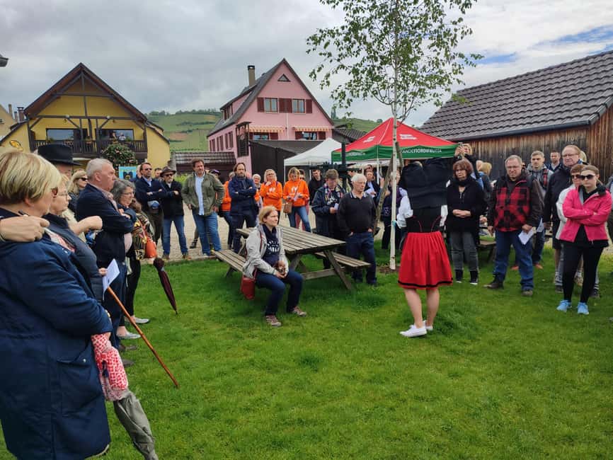 Kaysersberg Vineyard Discover the vineyard and wine, Domaine Meyer-Krumb - Key points at a glance