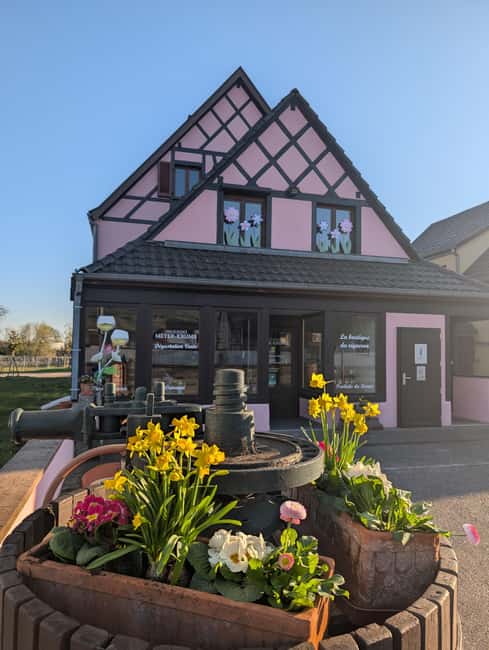 Kaysersberg Vineyard Discover the vineyard and wine, Domaine Meyer-Krumb - Why this small Alsace estate is worth your time