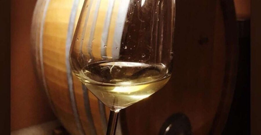 Kefalonia: Private Wine Tasting with Vineyard Tour - Private transport makes the four and a half hours easier