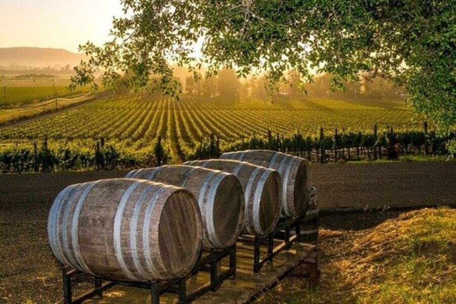 Kefalonia: Private Wine Tasting with Vineyard Tour - Is $183 per person a fair price?
