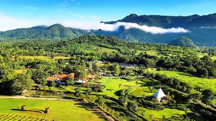 Khao Yai Vineyard Tasting Tour & Horse Farm Visit - From Bangkok to PB Valley at 6:30 AM