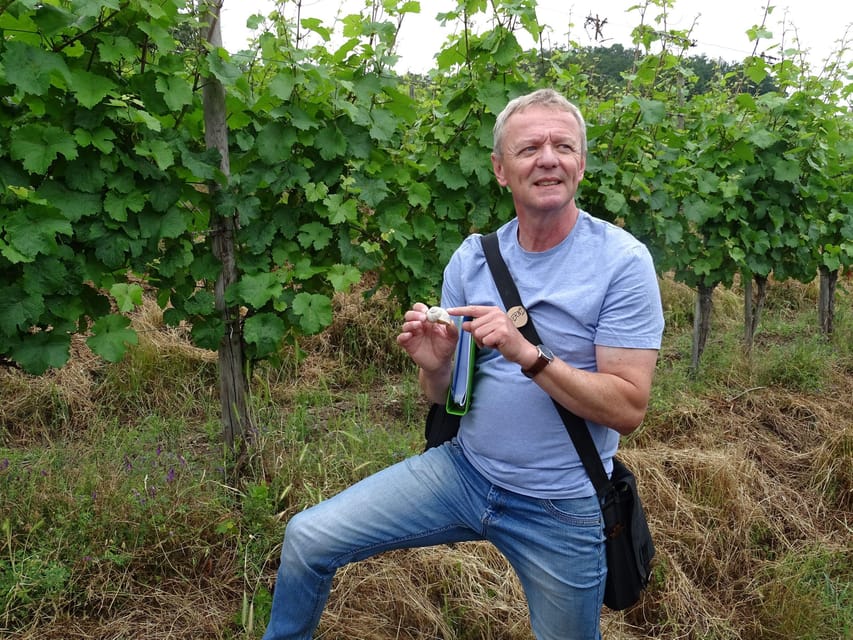 Koblenz: The Living Vineyard, Nature & Wine Enjoyment - Starting at Weingut Lunnebach with a glass of Secco