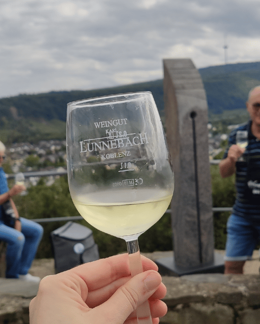 Koblenz: The Living Vineyard, Nature & Wine Enjoyment - Understanding the Moselle through slate, sun, and vines