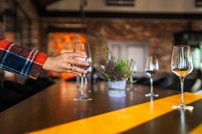 Krakow Vineyard Tour with Wine Tasting and Dinner - What the driver adds to the day
