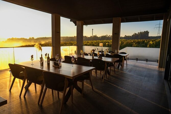 Krakow Vineyard Tour with Wine Tasting and Dinner - Should you book the Krakow Vineyard Tour?