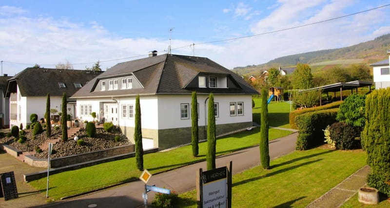 Kröv/Gut Hermes: Wine tour & tasting through vineyard, winery & champagne factory - Practical Details Before You Go