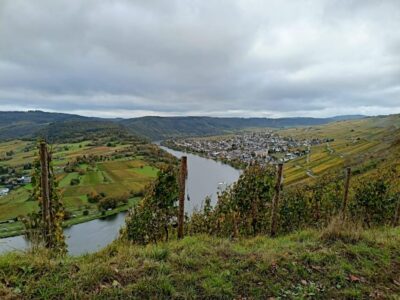Kröv, Mosel: Covered wagon ride through the vineyards with wine tasting
