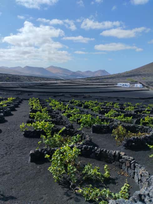 La Geria: a walk among volcanoes and vineyards - Key points at a glance