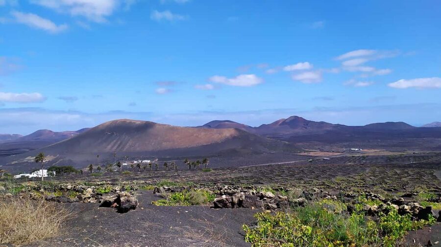 La Geria: a walk among volcanoes and vineyards - Why La Geria feels unlike a normal wine region