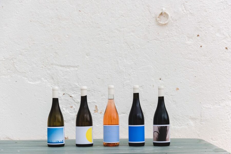 Lagoa: Vineyard Tour and Wine Tasting - Key details before you book