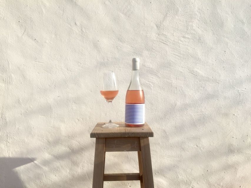 Lagoa: Vineyard Tour and Wine Tasting - A short walk through Algarve wine country