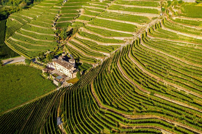 Lake Como & UNESCO Dry-stone Walls Vineyards - Key points to know before you book