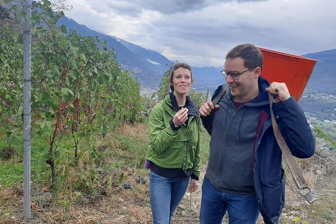 Lake Como & UNESCO Dry-stone Walls Vineyards - Valtellina’s dry-stone vineyard terraces