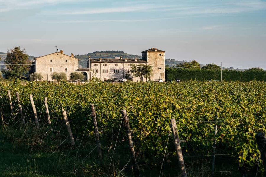 LAKE GARDA: VINEYARD AND WINERY TOUR - Key Things to Know Before You Go