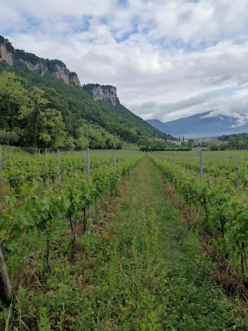 LAKE GARDA: VINEYARD AND WINERY TOUR - Arriving at Le Fraghe’s Historic Courtyard