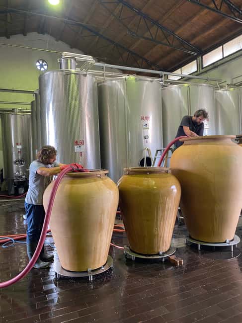 LAKE GARDA: VINEYARD AND WINERY TOUR - What $54 Buys You at Lake Garda