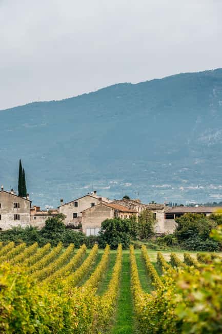 LAKE GARDA: VINEYARD AND WINERY TOUR - Who Will Enjoy This Short Wine Visit
