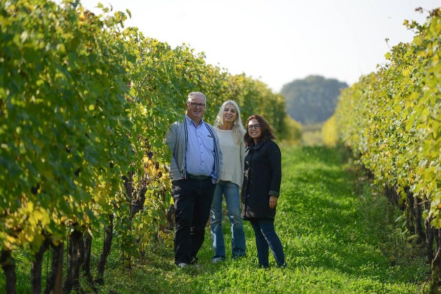 Lake Garda: Vineyard Tour and 6 wine Tasting - The family story is the real center of the visit