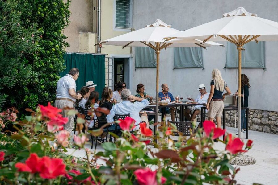 Lake Garda: Vineyard Tour and 6 wine Tasting - How the two-hour schedule feels